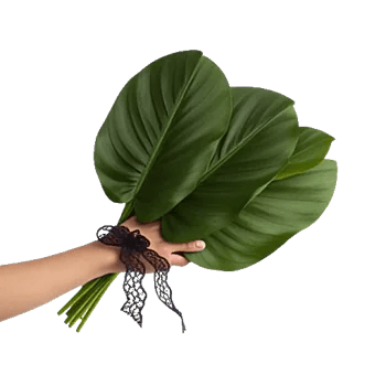 Lush Greenery Harmony