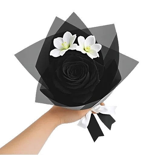 Modern White Orchids