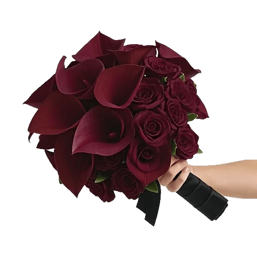 Elegant Calla Lilies