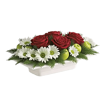 Crimson Rose Elegance