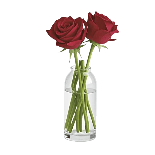 Crimson Rose Elegance