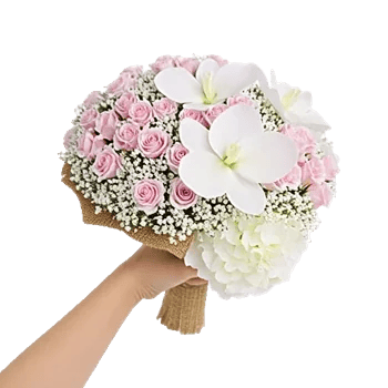 Blossom Radiant Whisper