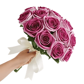 Blushing Rose Symphony