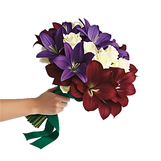 Elegant Calla Lilies