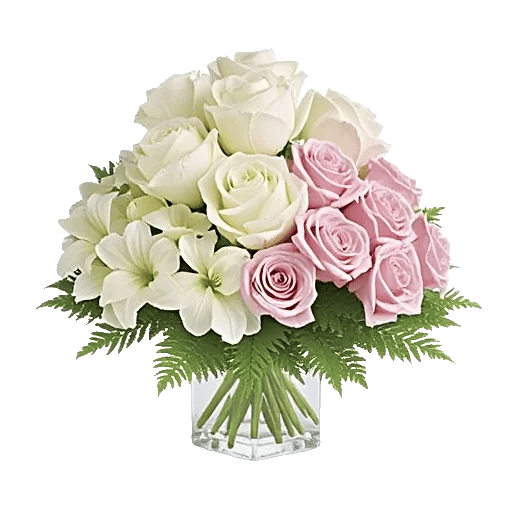 Ivory Blossom Radiance