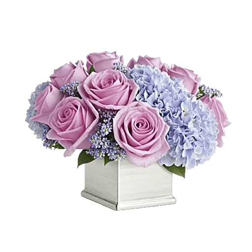 Lavender Bloom Grace