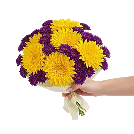 Golden Petal Harmony