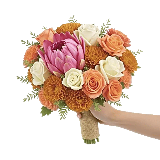 Pastel Pink Roses