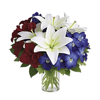 Ivory Blossom Radiance