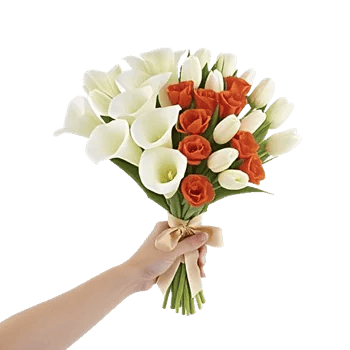 Elegant Calla Lilies