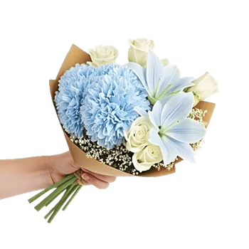 Serene Petal Harmony