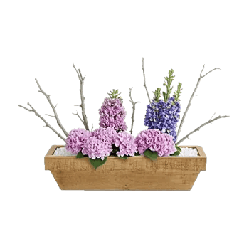 Lavender Bloom Grace