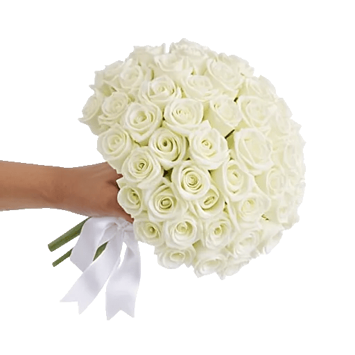 Ivory Garden Grace