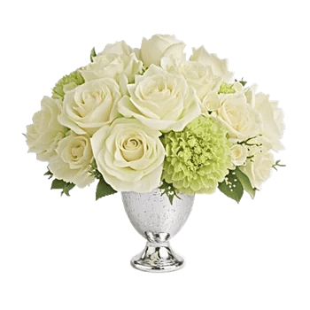 Ivory Blossom Radiance