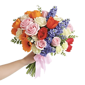 Blushing Rose Symphony