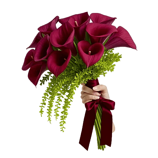 Elegant Calla Lilies