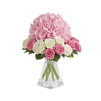 Ivory Blossom Radiance