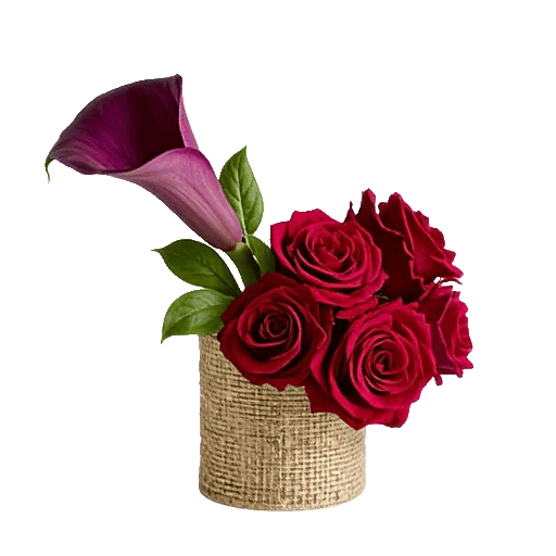 Elegant Calla Lilies