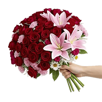 Blushing Rose Symphony