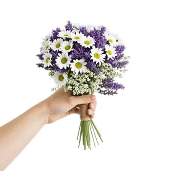 Delicate Petal Cascade