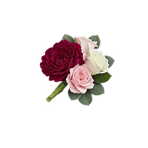 Delicate Petal Cascade