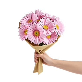 Petal Harmony Bliss