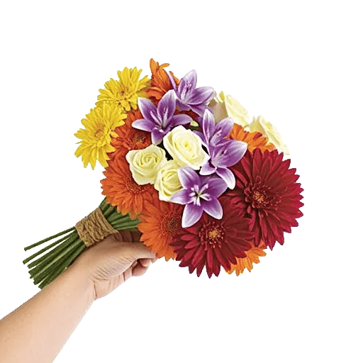 Blossom Harmony Display