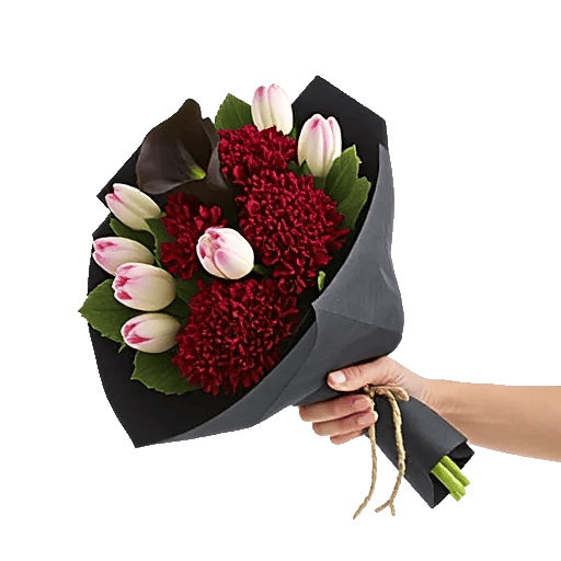 Elegant Calla Lilies