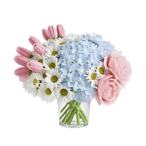 Petal Radiance Bliss