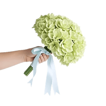 Serene Petal Harmony