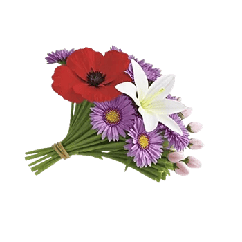 Blossom Petal Serenity