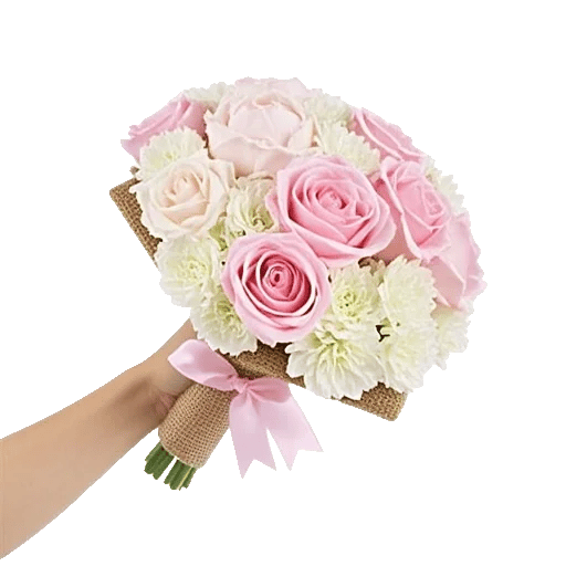 Pastel Pink Roses