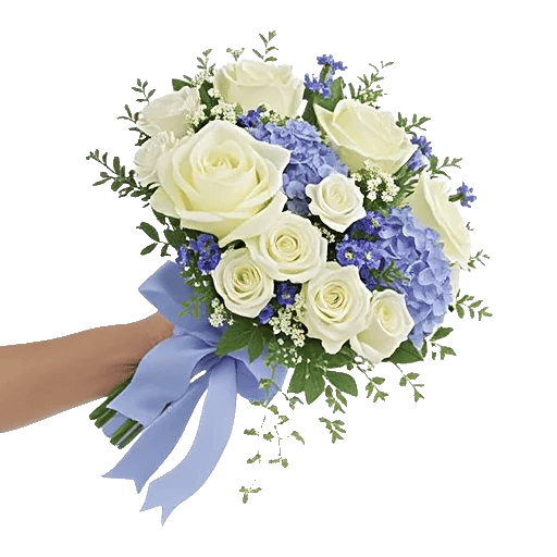 Serene Petal Harmony