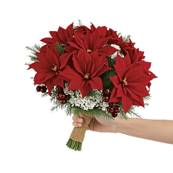 Crimson Rose Elegance