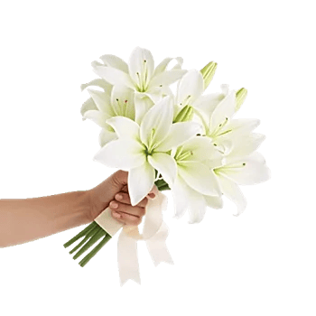 Graceful Lily Display