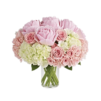 Petal Radiance Bliss