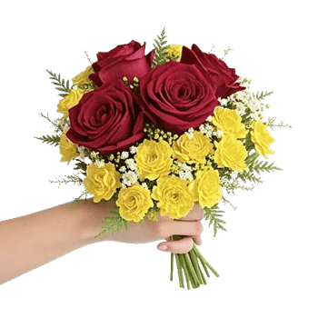 Crimson Rose Elegance