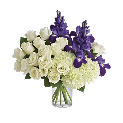 Ivory Blossom Radiance