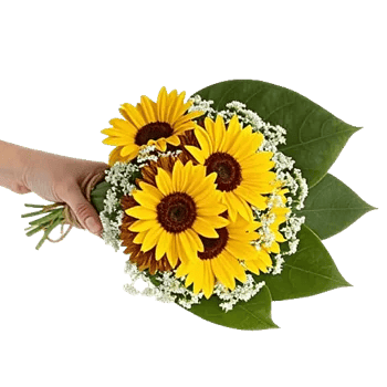 Golden Petal Harmony