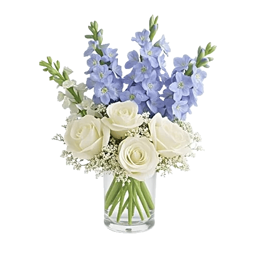 Blossom Petal Serenity