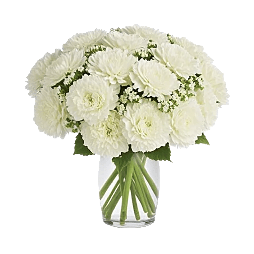 Delicate Petal Cascade