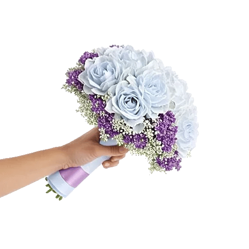 Serene Petal Harmony