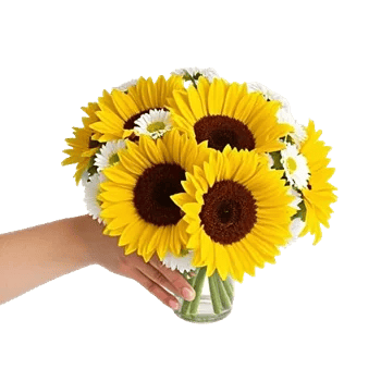 Radiant Bloom Cascade