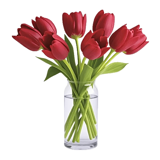 Velvet Tulip Display