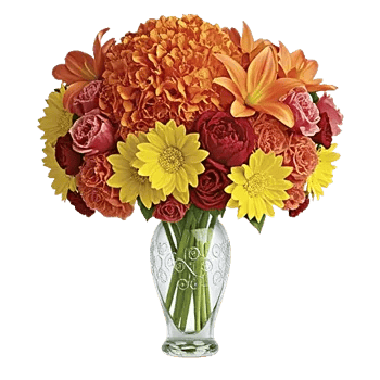 Petal Radiance Bliss