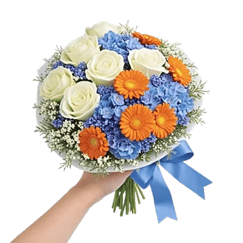 Serene Petal Harmony