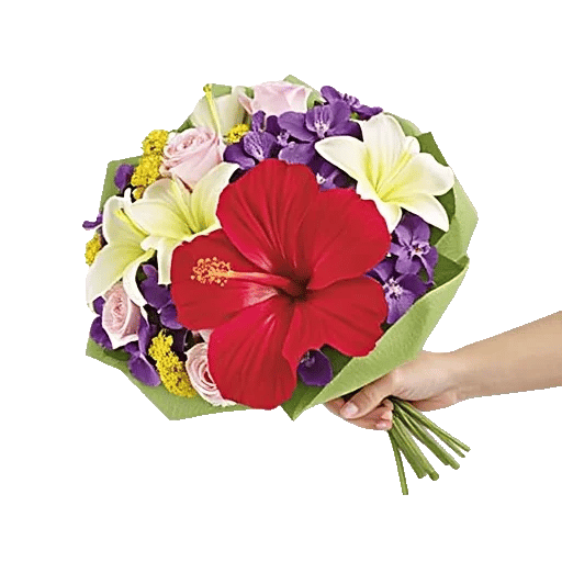 Crimson Rose Elegance