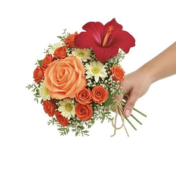 Blushing Rose Symphony