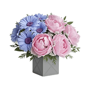 Petal Radiance Bliss