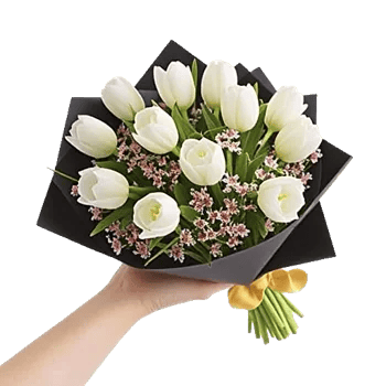 Blossom Harmony Display